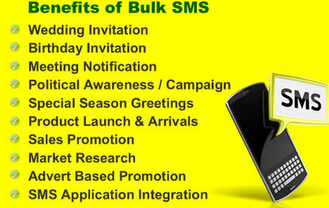 Contact Our SMS Support Team