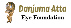 danjuma-eye-logo